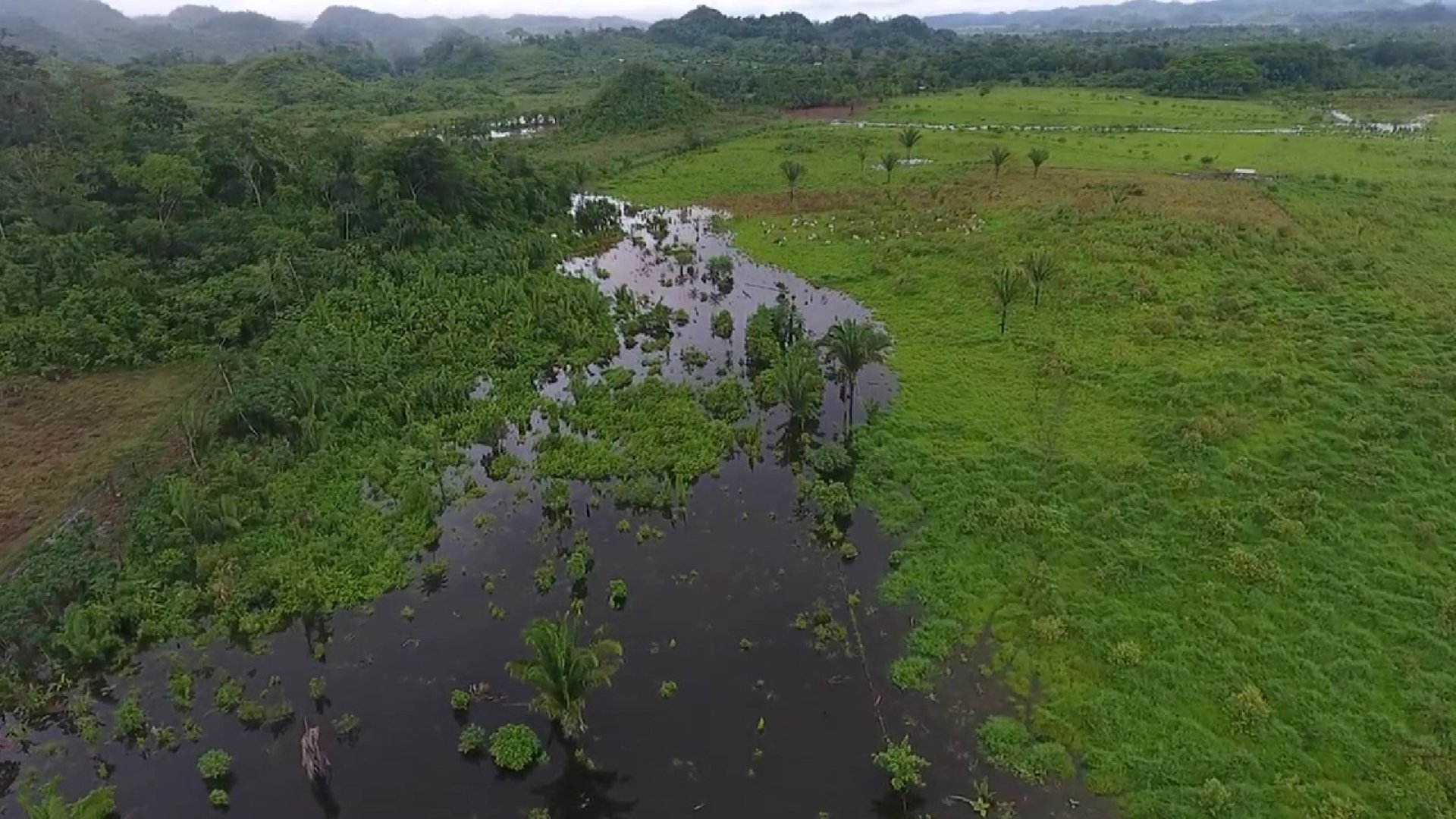 FINCA EN VENTA EN ALTA VERAPAZ - Miniatura 4