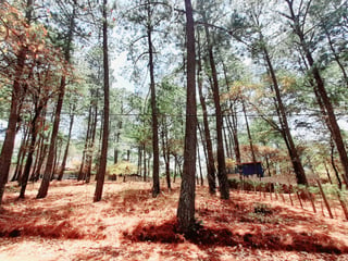 Terreno en Venta en Santo Domingo Xenacoj Sacatepequez - 5