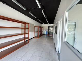 LOCAL EN RENTA PARA ESTÉTICA CANINA - 4