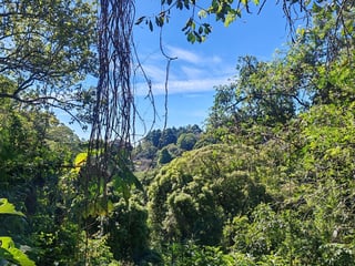 Finca en Venta de 9 manzanas en Fraijanes Guatemala - Image 12