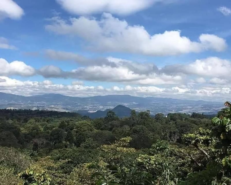 Terreno en venta para desarrollo de casas en Santa Elena Barillas – atrás del Rincón de la Finca