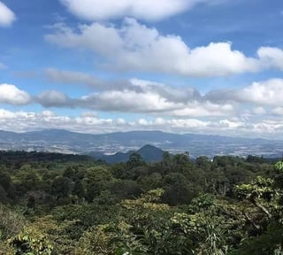 Terreno en venta para desarrollo de casas en Santa Elena Barillas – atrás del Rincón de la Finca