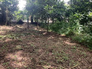TERRENO EN VENTA EN EL ENCINAL, MIXCO - 5