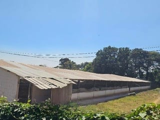 Terreno en Venta Carretera Salvador Km 29.5, CAES - 4