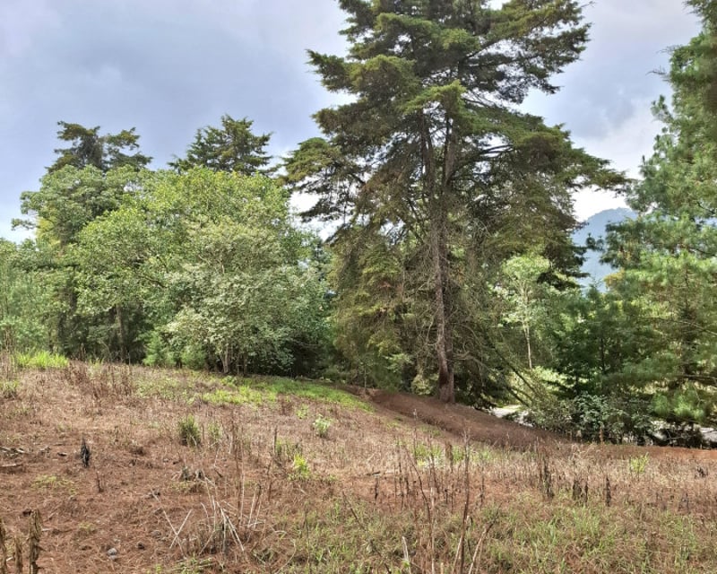 Terreno en VENTA en Zona 16, El Pulté Villa Ecuestre