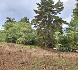 Terreno en VENTA en Zona 16, El Pulté Villa Ecuestre