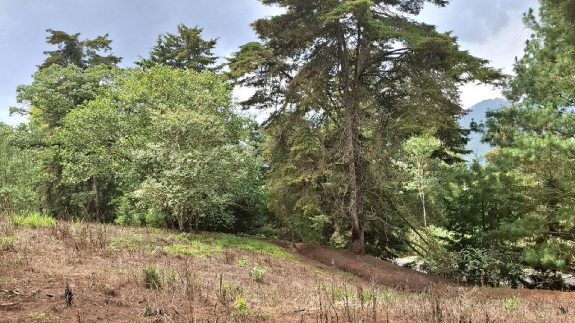 Terreno en VENTA en Zona 16, El Pulté Villa Ecuestre