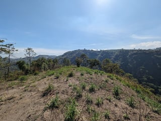 Km23 carretera Atlantico / Finca en venta - 4