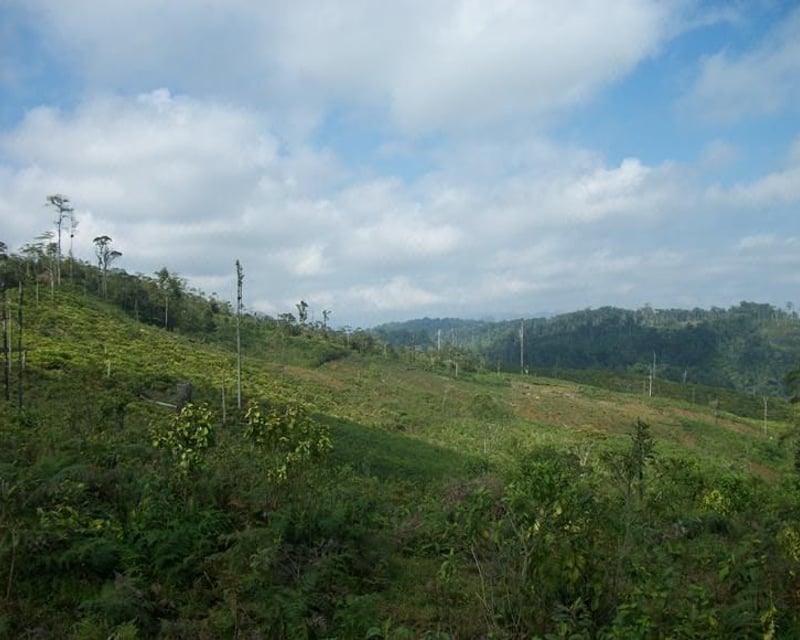 Fincas en VENTA en El estor Izabal y Alta Verapaz