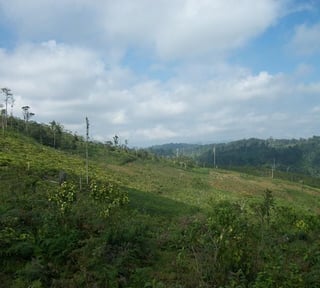 Fincas en VENTA en El estor Izabal y Alta Verapaz