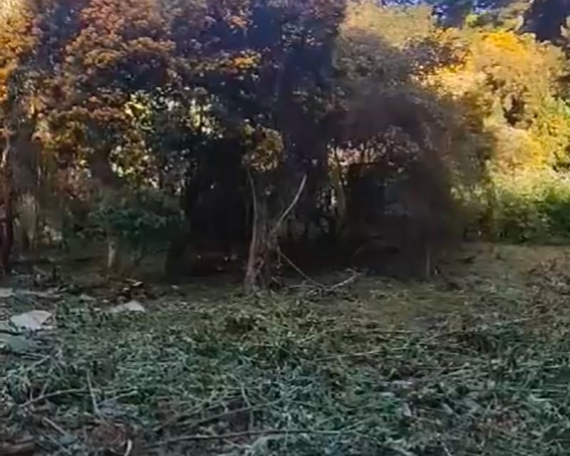 SANTA ROSALÍA / Terreno en venta