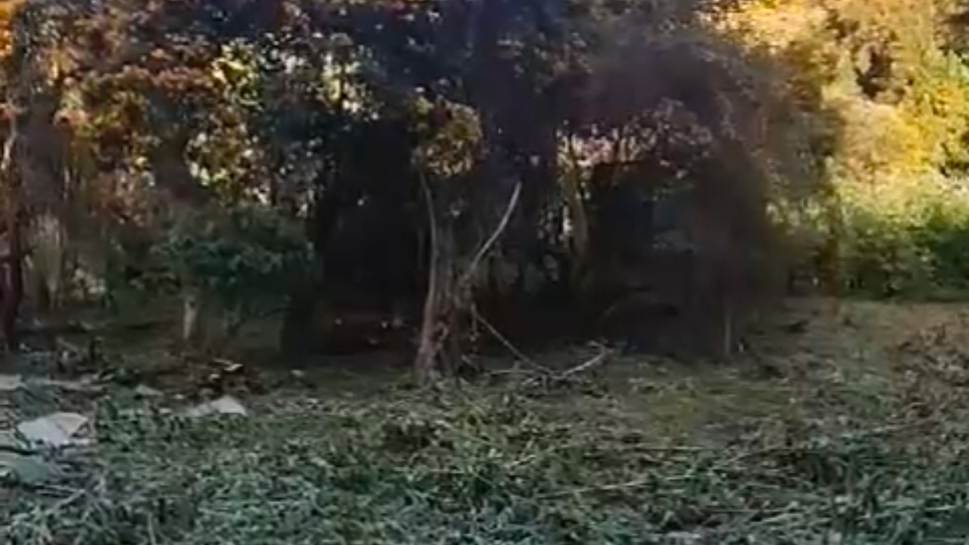 SANTA ROSALÍA / Terreno en venta