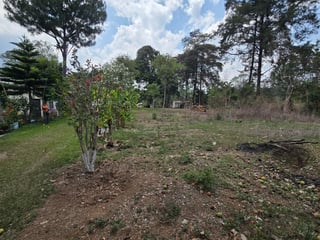 Lindo y Amplio Terreno En Venta - San Pedro Ayampuc - 4