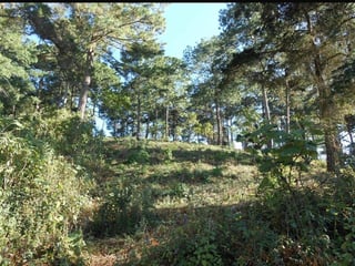 Terreno en VENTA en zona 16 - Image 3