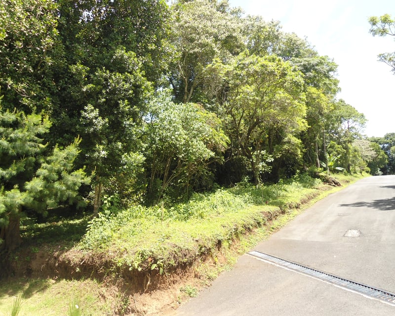 Terreno en Venta en San German de la Montaña Fraijanes