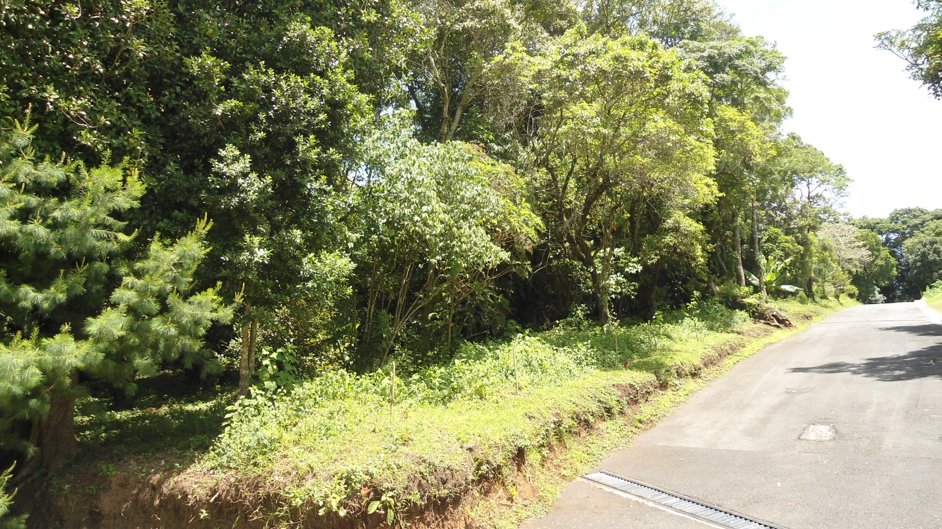 Terreno en Venta en San German de la Montaña Fraijanes
