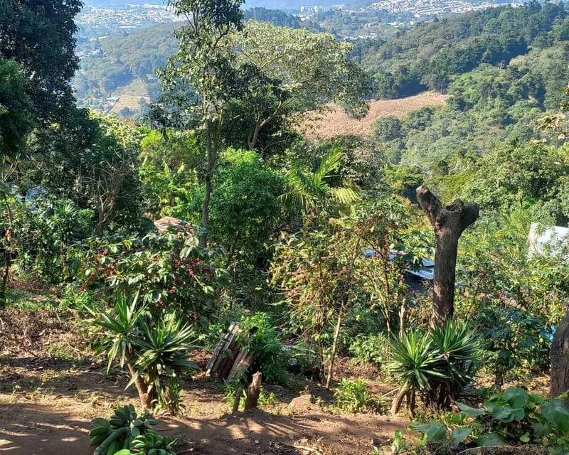 TERRENO EN ALDEA LA SALVADORA SANTA CATARINA PINULA