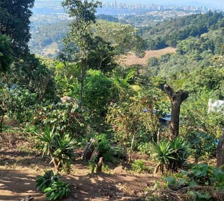 TERRENO EN ALDEA LA SALVADORA SANTA CATARINA PINULA