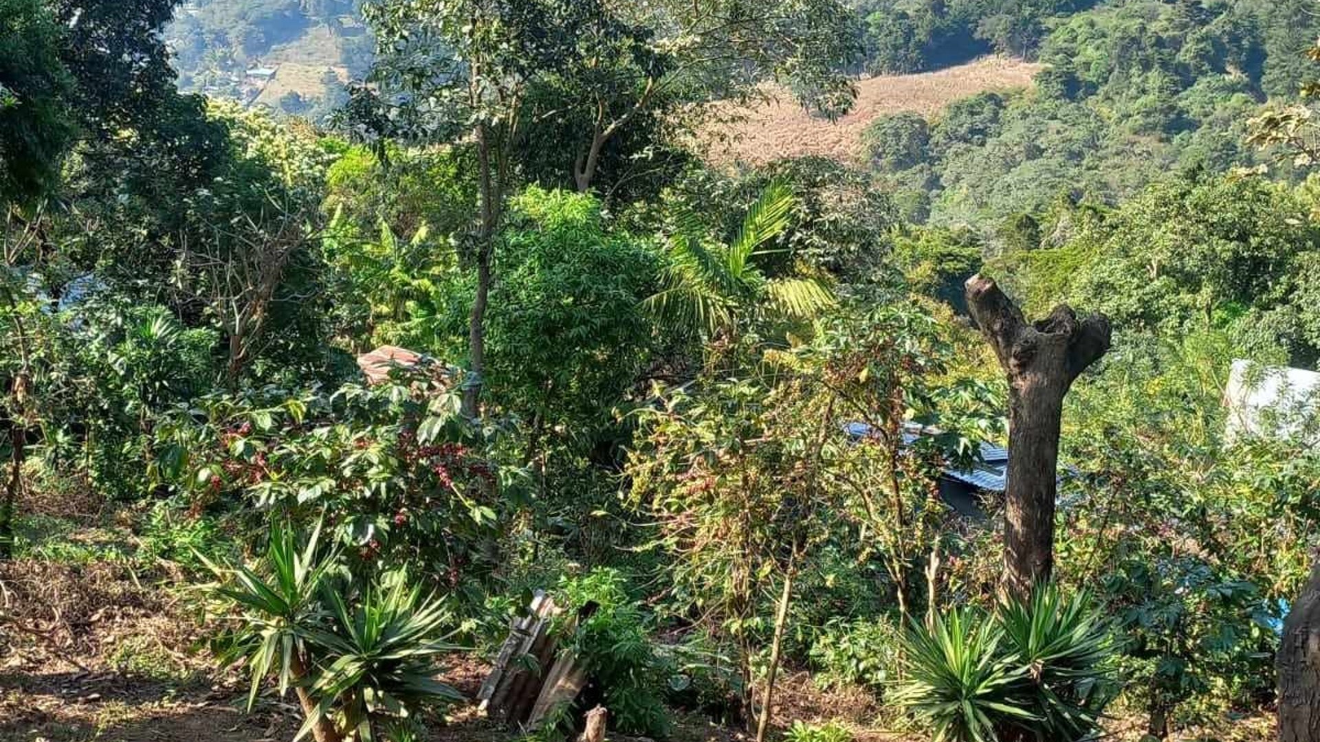 TERRENO EN ALDEA LA SALVADORA SANTA CATARINA PINULA