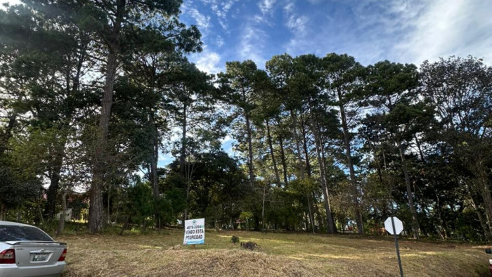 VENTA TERRENO EN AREA RESIDENCIAL SAN LUCAS/SANTIAGO