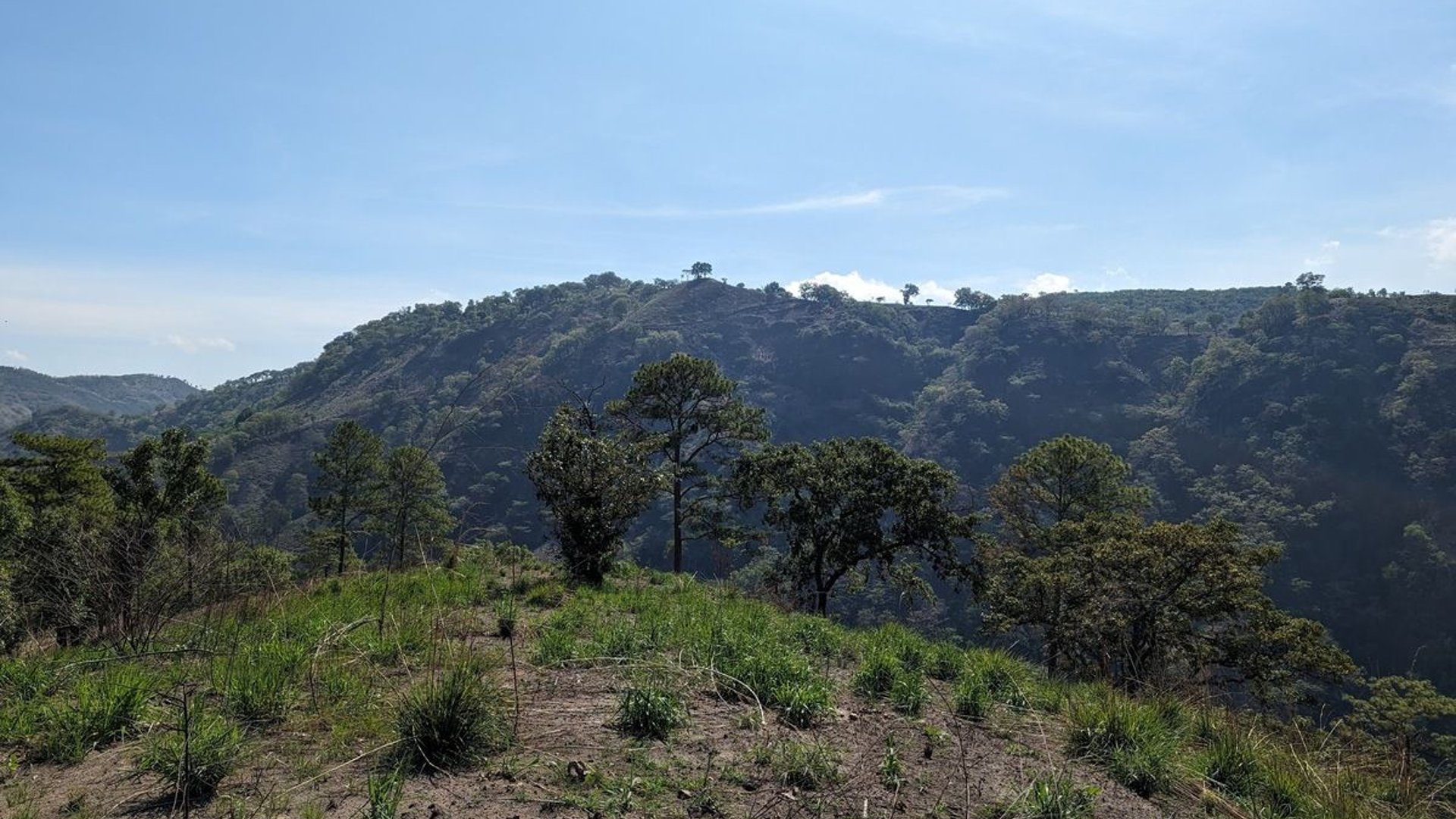 Km23 carretera Atlantico / Finca en venta - Miniatura 10