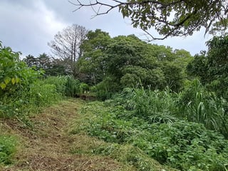 TERRENOS EN CASA Y CAMPO KM 23.5 CARRETERA A EL SALVADOR - 3