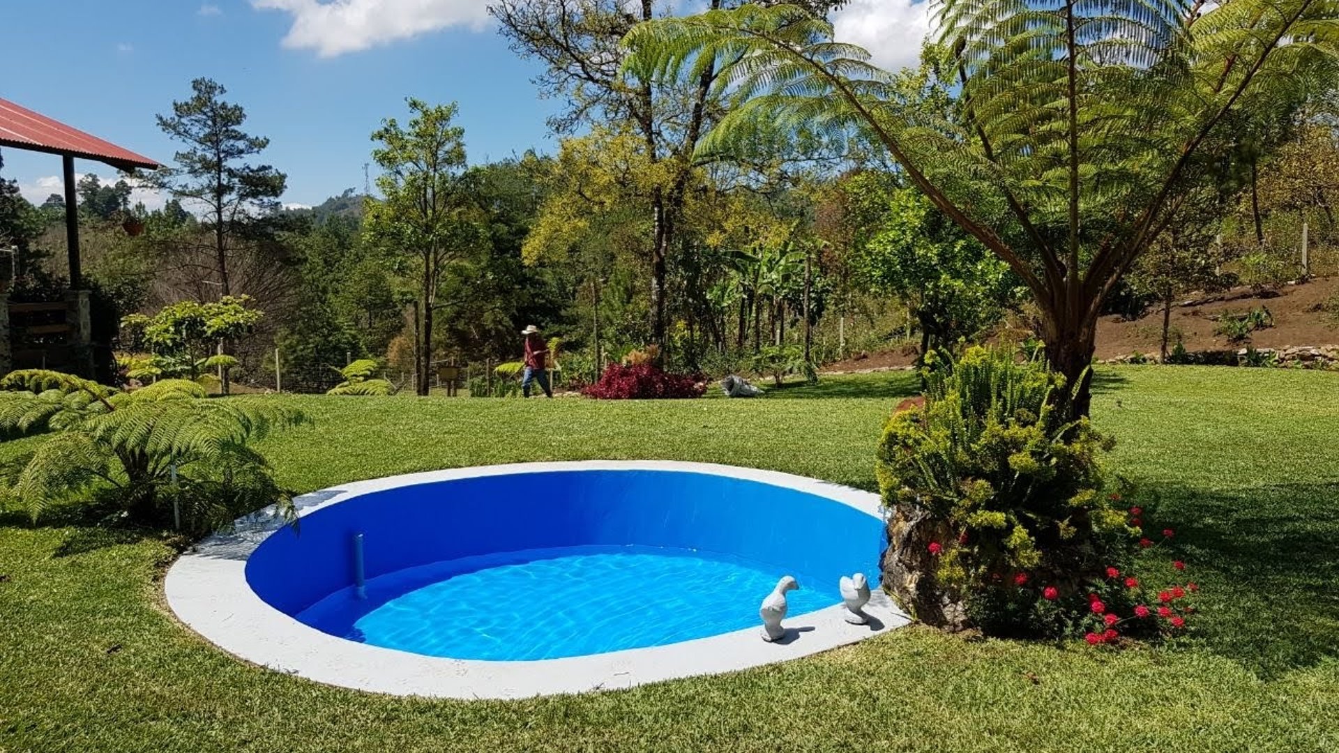Finca comercial 26 manzanas en Venta en la Verapaces  - Miniatura 16