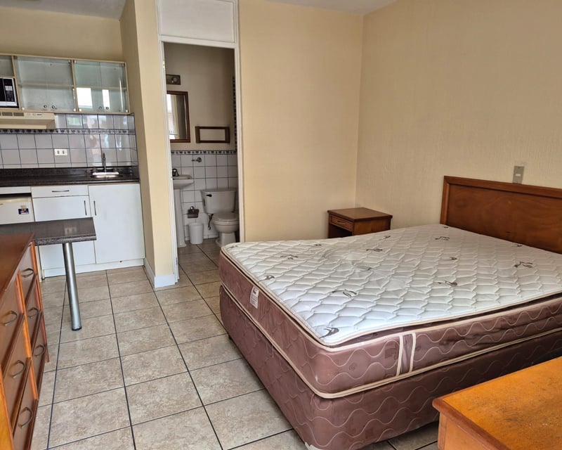 Apartamento amueblado tipo efficiency zona 9