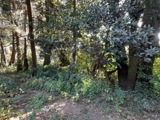 Terreno en Venta San Lucas Sacatepéquez, Guatemala - 4