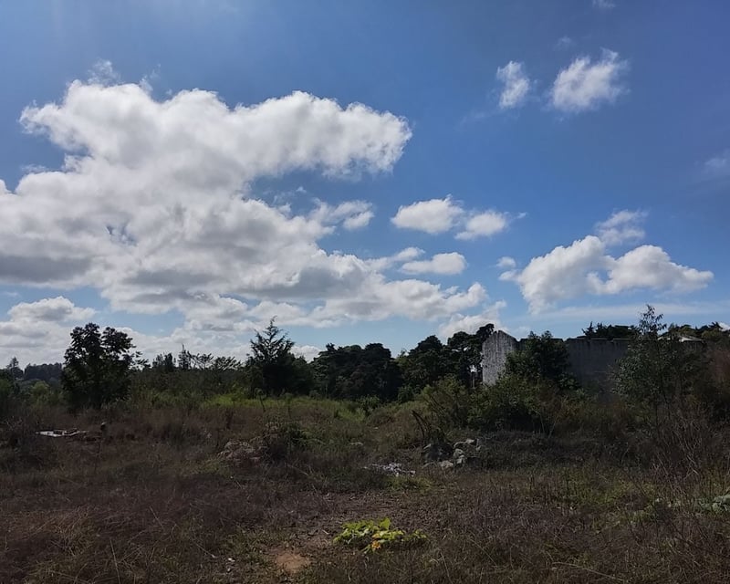 Vendo Terreno en Bosques del Eden