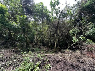 VENTA TERRENO EN GRANJA BUENOS AIRES CAES - 4
