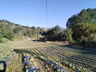 OPORTUNIDAD DE INVERSIÓN EN TACTIC, ALTA VERAPAZ - 4