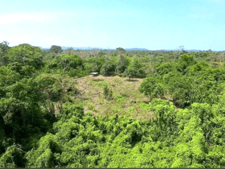 TERRENO EN VENTA EN RIO DULCE - Image 7