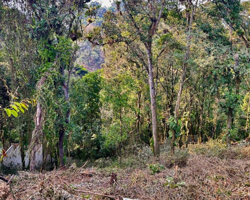 Terreno en venta Santa Rosalia km 12 C. al Salvador