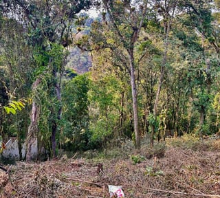 Terreno en venta Santa Rosalia km 12 C. al Salvador