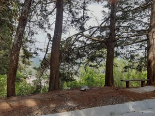 VENTA DE TERRENO EN SANTA ROSALIA LA LAGUNA - Image 4