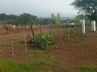 Terreno en venta, en Escuintla - 2