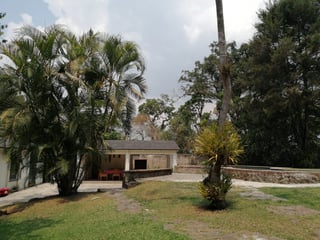 CABAÑA DE CAMPO EN LA LAGUNA DEL PINO  - 3