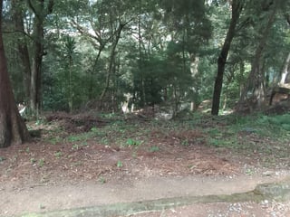 Terreno Residencial en Venta - Santa Lucia Milpas Altas - 5