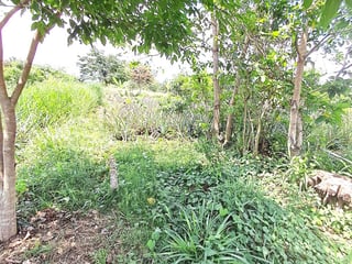 TERRENO RUSTICO EN ALQUILER EN MAZATENANGO - 2