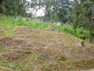 Terreno en venta dentro de residencial Cuilapa - 2