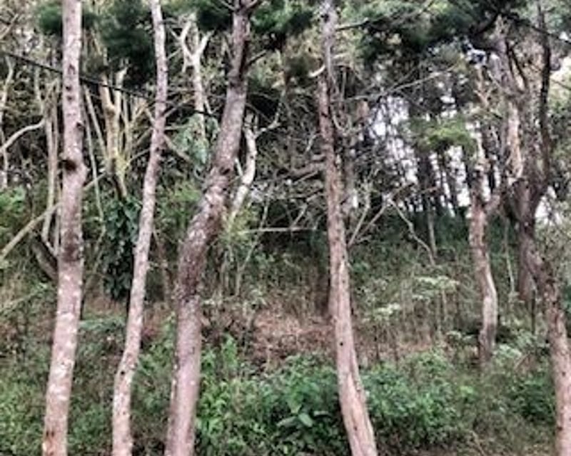 Terreno en VENTA en Muxbal, CES