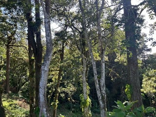 Terreno a la venta Santa Rosalía, km 12.5 CAES - 2