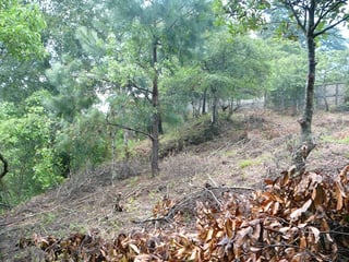 TERRENO EN VENTA EN SAN RAFAEL II, SANTA CATARINA PINULA - 4