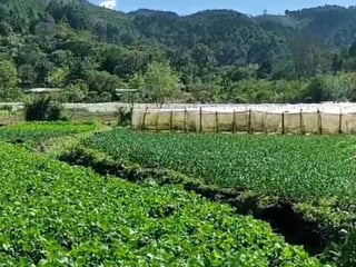 Terreno en venta en Tactic, Alta Verapaz - 2