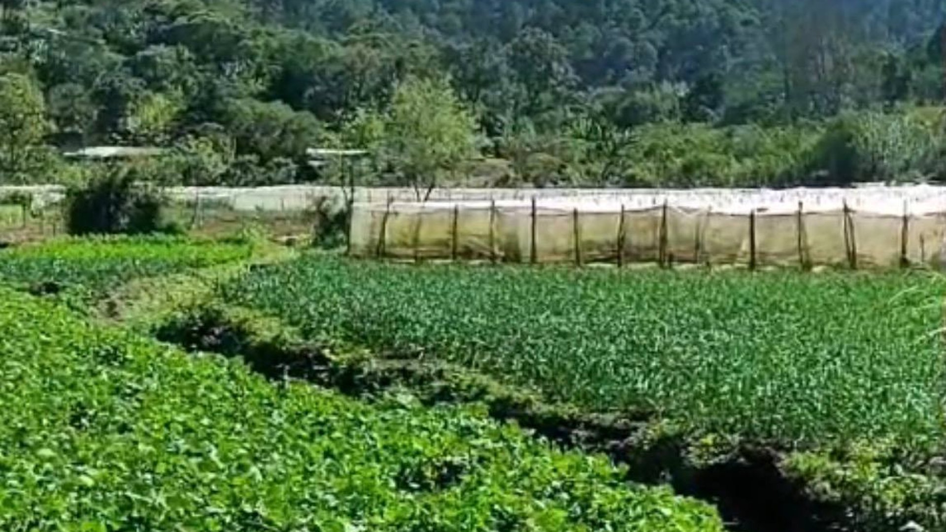 Terreno en venta en Tactic, Alta Verapaz - Miniatura 2