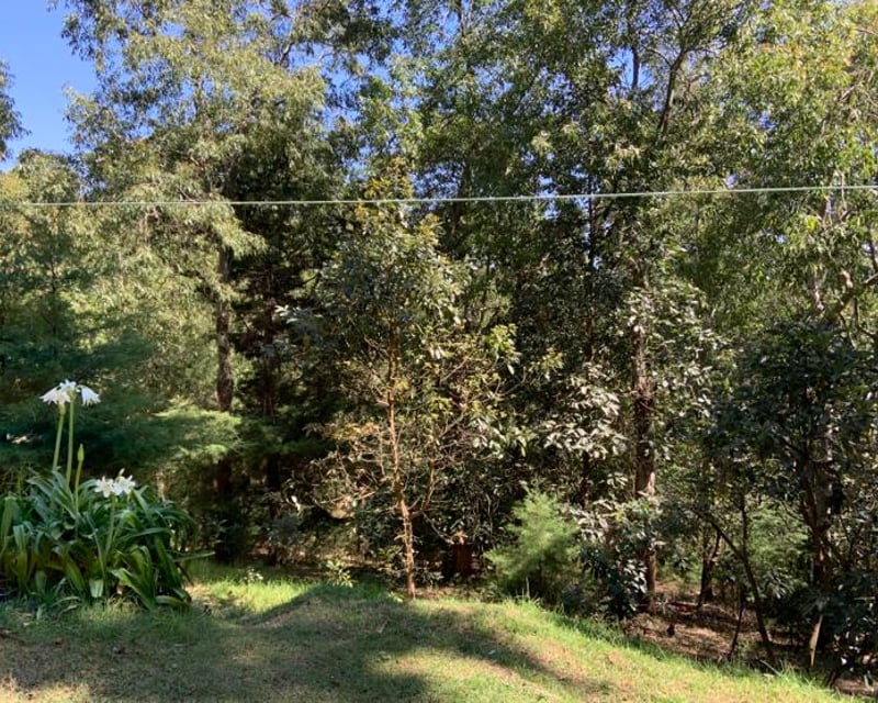 Venta de Terreno Extenso en Santa Lucia Milpas Altas, Sacatepéquez