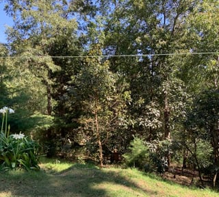 Venta de Terreno Extenso en Santa Lucia Milpas Altas, Sacatepéquez