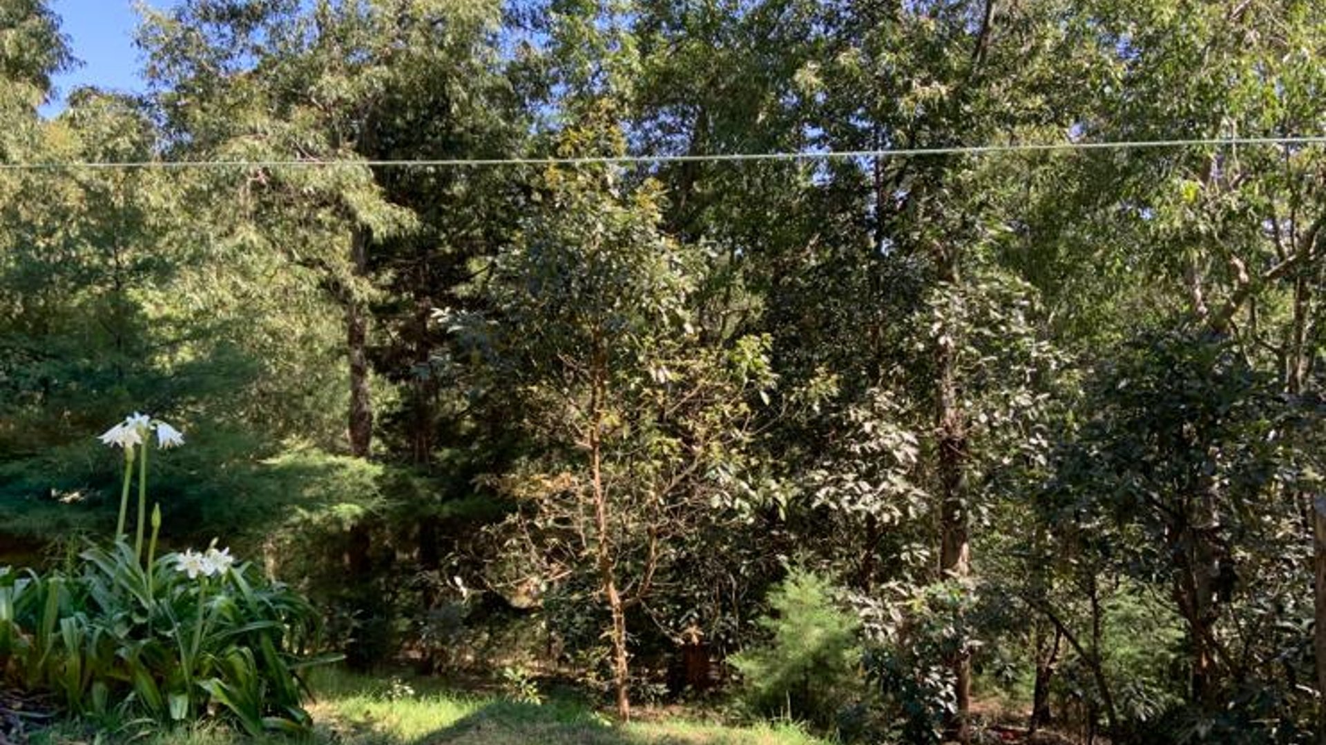 Venta de Terreno Extenso en Santa Lucia Milpas Altas, Sacatepéquez