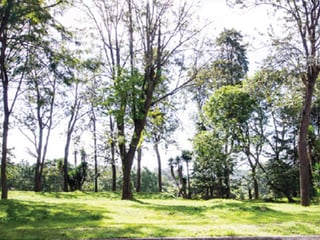 Terrenos en Venta, San Isidro zona 16 - 3